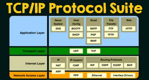 The Tcp Ip Model And Protocol Suite Explained For Beginners My XXX Hot Girl