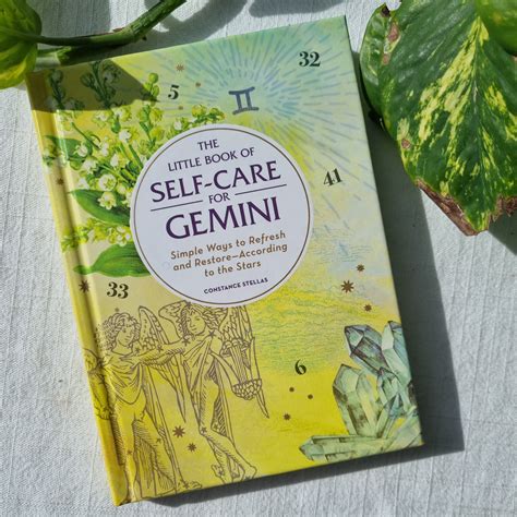 The Little Book Of Self Care For Gemini Constance Stellas Sparrow And Fox