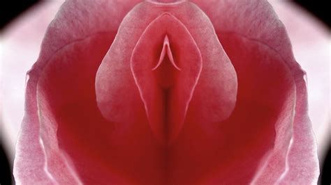 Female Orgasms Are Not Puzzling Enigmas Study Helpfully Concludes