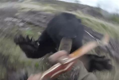 Homem filma ataque de urso no Canadá GQ Poder