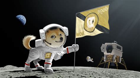 Doge To The Moon Background Doge Space Wallpaper Wallpapersafari