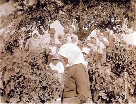 Čtvrteční bouře na jižní moravě si vyžádala nejméně jednu oběť. Historie - Hrušky z Podluží na MoravěHrušky z Podluží na ...