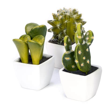 Set Of 3 Artificial Mini Succulent And Cactus Plants In White Cube Shaped