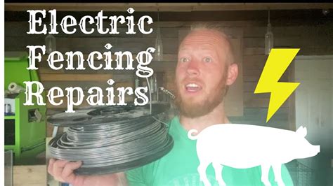 Fixing Our Pigs Electric Fencing Youtube