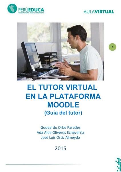 Funciones Del Tutor Virtual