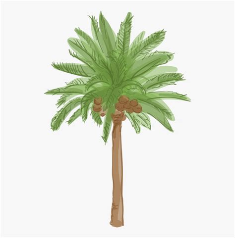 Date Palm Tree Cartoon Free Transparent Clipart ClipartKey