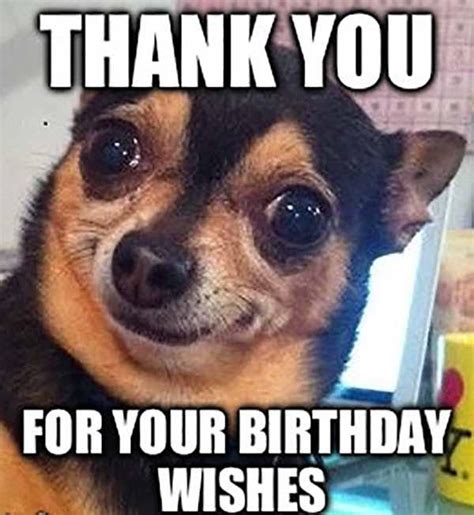 Thank You For Birthday Wishes Meme