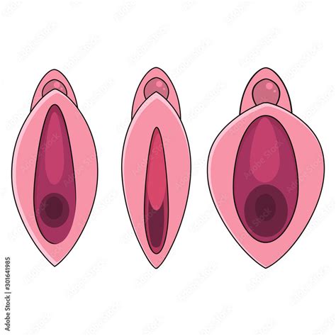 Set Human Vagina Vaginal Opening Or Female Reproductive Sex Organ Line