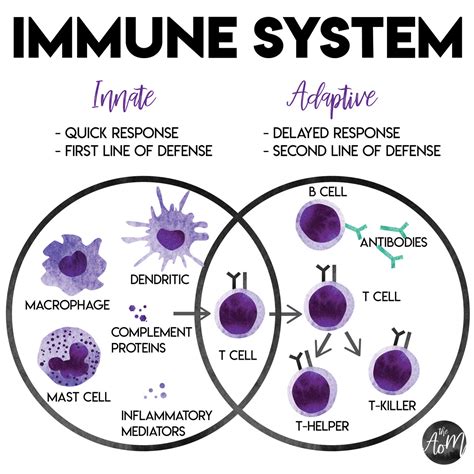 The role of the innate and acquired immune response is determined. The-Art-Of-Medicine — Innate and Adaptive Immunity There ...