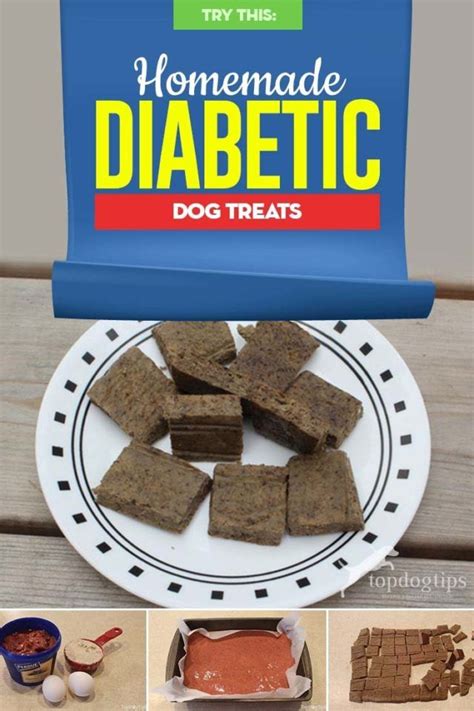 Homemade food for diabetic dogs (cheap and easy to make). Video: Homemade Diabetic Dog Treat Recipe and Instructions ...