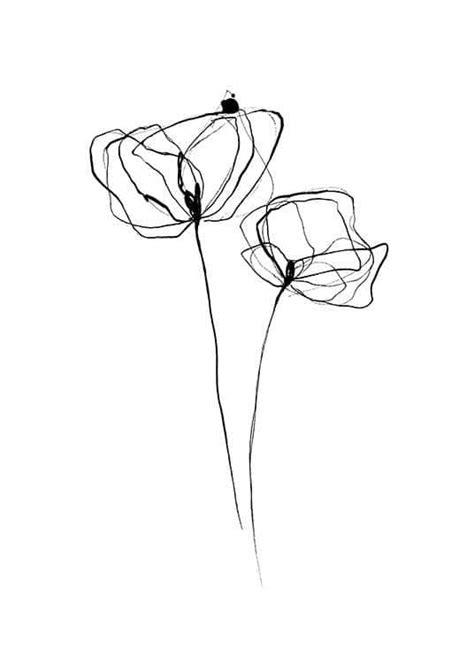 Monochrome nature floral contour illustration. Line Flower No3 Poster