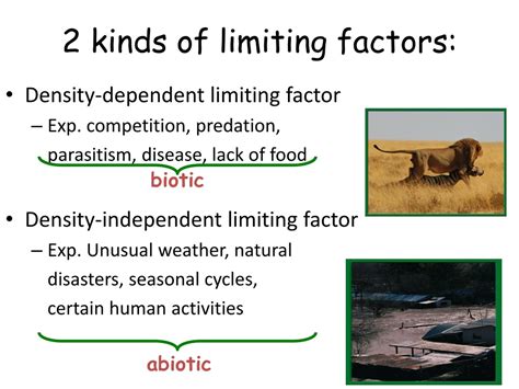 PPT - Pre-AP Biology Pearland High School PowerPoint Presentation, free