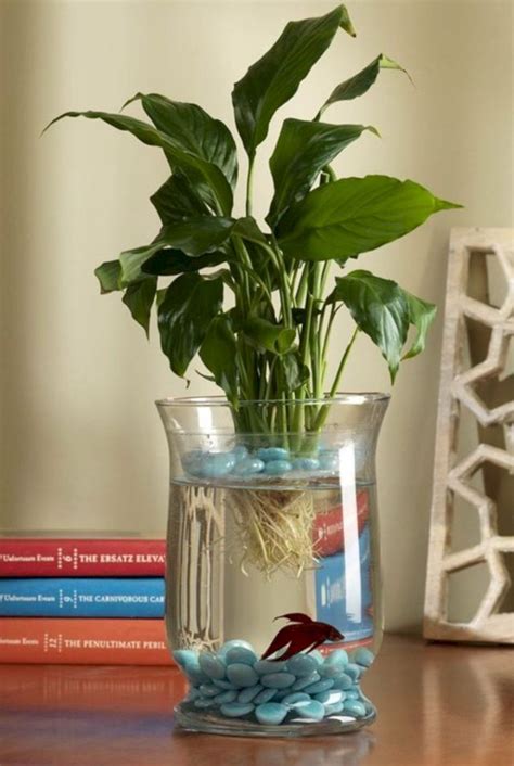 Indoor Water Garden Ideas That Make Your Home Fresh 42 Fish Plants