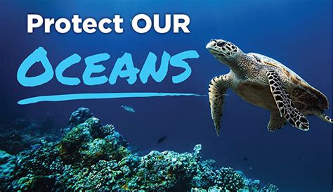 Protect Our Oceans Petition Sharon Claydon Mp