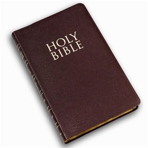 Interesting Facts About The Books Of The Bible Interesting Facts