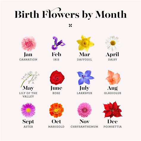 How To Know Your Birth Flower 24 Ideas Animereviewed