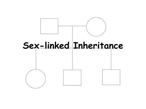 Ppt Sex Linked Inheritance Powerpoint Presentation Free Download