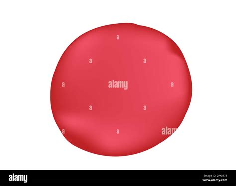 Outer Anatomy Of The Red Blood Cell Stock Vector Image And Art Alamy