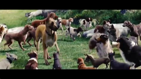 The Entire Marmaduke Trailer In 3432 Seconds Youtube