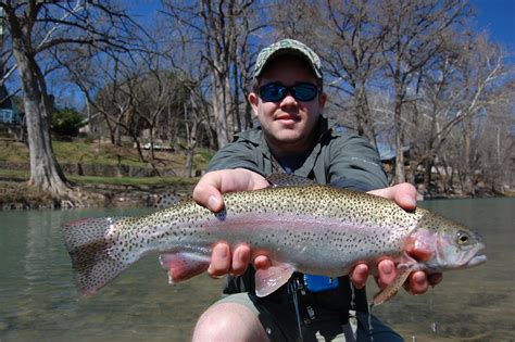 The beaverkill and the willowemoc both flow through this place, so if you are looking to catch some brown or rainbow trout, this could be your place. Fishing in USA | Fish
