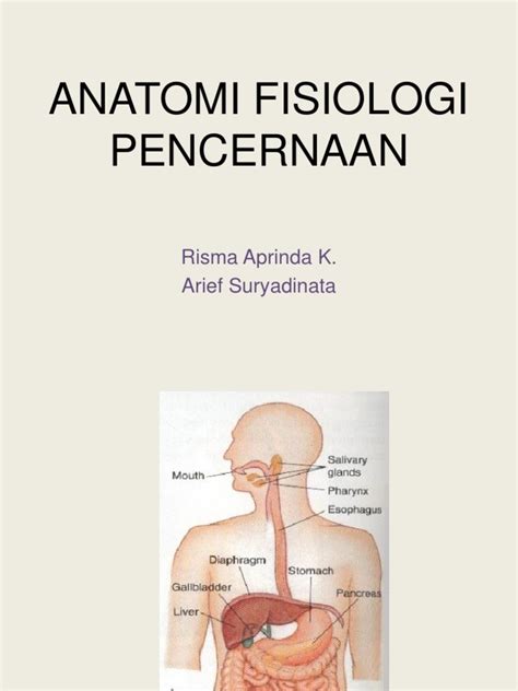 Anatomi Fisiologi Pencernaan Risma Aprinda K Arief Suryadinata