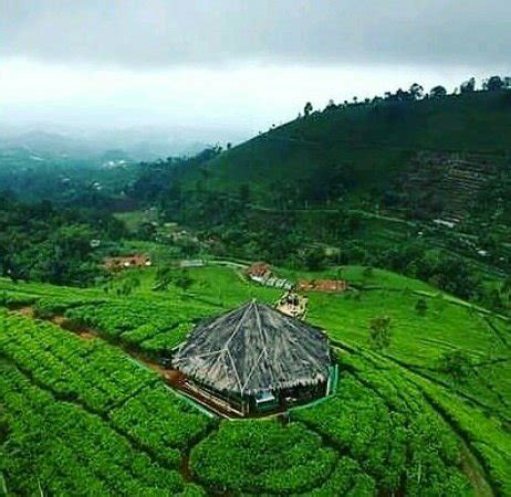 Pesona kebun teh cipasung majalengka jawa barat. Nomor Hp Pengelola Kebun Teh Cipasung Majalengka : Sejuk ...