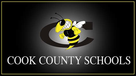 Cook schools show test score improvements – Adel News – Tribune