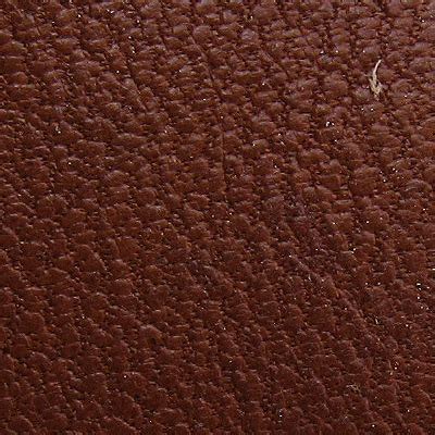 Leather Identification | Lili's Bookbinding Blog