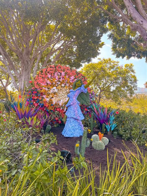 Downtown Disney Isabella Disneyland Flowers Plants Plant Royal