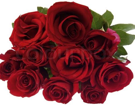 A Bunch Of Red Roses Stock Photo Colourbox