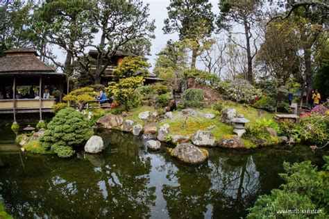 What Makes The Japanese Tea Garden In San Francisco Special Aimless