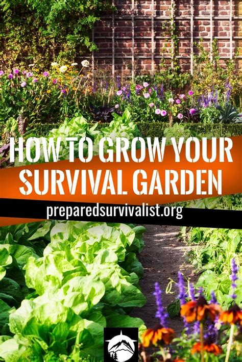 Survival Garden How To Grow Your Survival Garden Shows You The Best