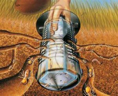 How to treat termite infestations in and around the home. 6 DIY Termite Treatments DIYReady.com | Easy DIY Crafts ...