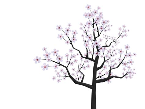 Cherry blossom cartoon transparent png. flower transparent - Google Search