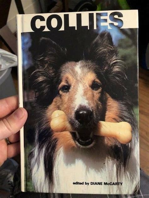 Collies Book By Diane Mccarty Dogs 1980 1984 Edition Hc Pets Tfh