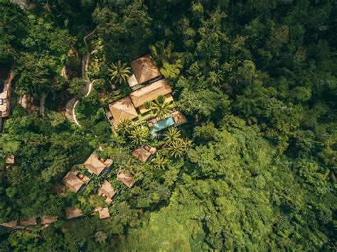 We went there for company trip a few months ago and now only have chance to share about this amazing rainforest resort. Luxury resort in forest | High-Quality People Images ...