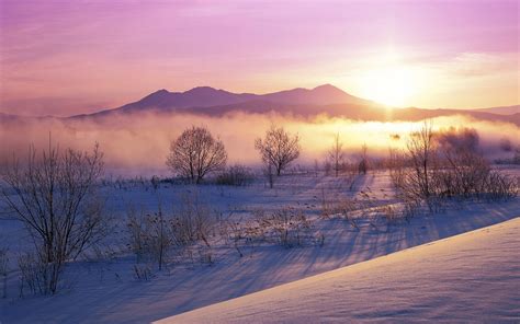 Snowy Dawn Wallpapers Hd Wallpapers Id 10408