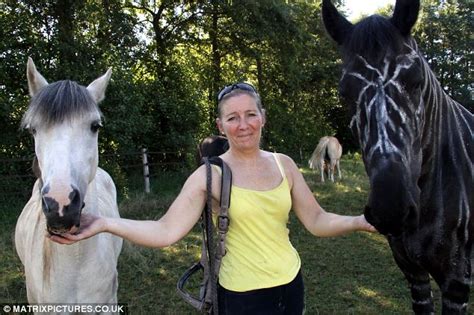 Horse Owner Paints Her Stallion To Resemble Zebra To Ward