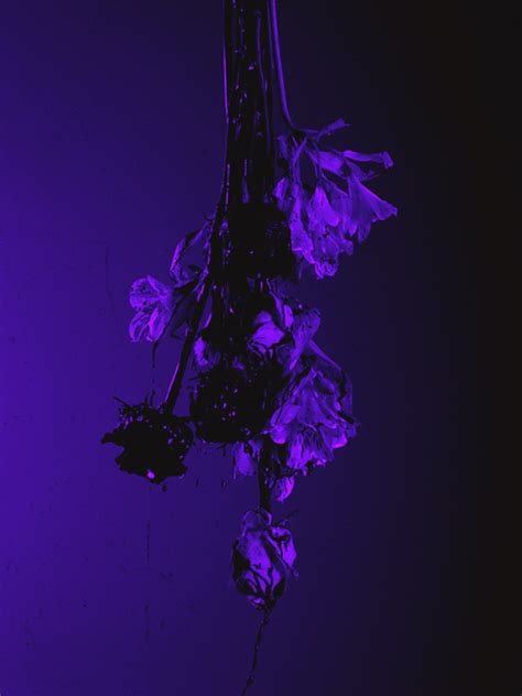 Clouds purple aesthetic gif gif by hoe josephine baker was an american born french entertainer activist and french resistance agen. rain gifs - Google Search | Aesthetic colors, Purple goth, Purple aesthetic