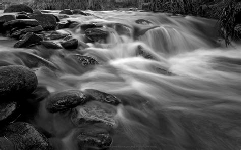 Free Download Pics Photos Rocky Stream In Black White Black And White [1680x1050] For Your