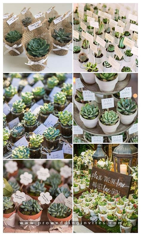 46 Great Ideas To Incorporate Succulents With Your Weddings Artofit