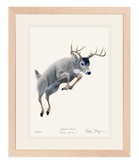 Bring The Beauty Of Nature To Your Home With A Whitetail Buck Print