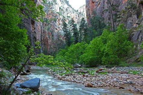View From My Campsite Picture Of The Narrows Zion National Park