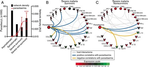 Networking The Host Immune Response In Plasmodium Vivax Malaria