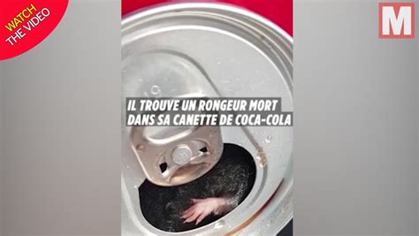 Man Shocked To Find A Dead Mouse In His Coca Cola Can After Drinking It Whole World News