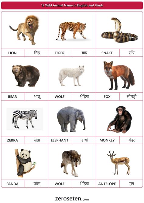 12 Wild Animal Names In Hindi And English Zero Se Ten Blog