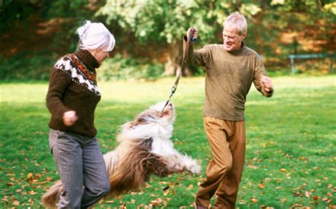 Comment Bien Tenir Son Chien En Laisse