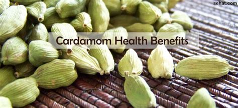 Health Benefits Of Cardamom Healthy Living