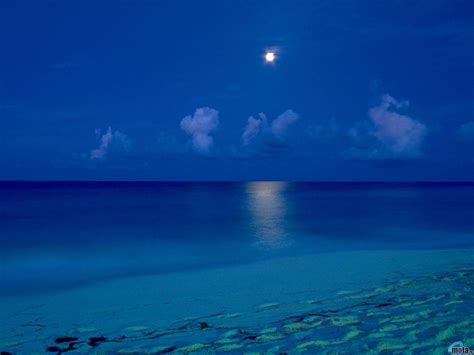 Beach At Night Wallpapers Wallpaper Cave