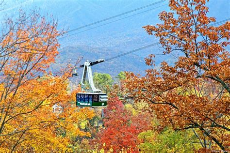 Fun Fall Events 2017 In The Smoky Mountains